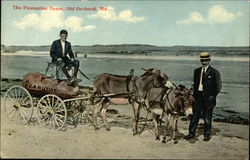 The Peanutine Team Old Orchard Beach, ME Postcard Postcard