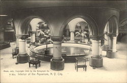 Interior of the Aquarium New York, NY Postcard Postcard