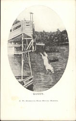 Queen - J.W. Gorman's High Diving Horses Atlantic City, NJ Postcard Postcard