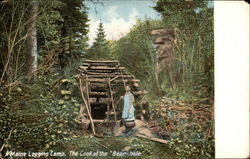 Maine Logging Camp, The Cook at the Bean-hole Postcard Postcard