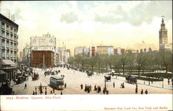 Madison Square Postcard