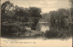 Bronx River, Bronx Park Postcard