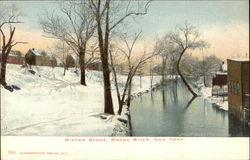 Winter Scene, Bronx River New York, NY Postcard Postcard