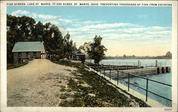 Fish Screen, Lake St. Marys Ohio