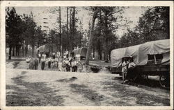 Le Foret Camps Colorado Springs, CO Postcard Postcard