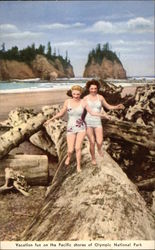 Vacation Fun on the Pacific Shores of Olympic National Park Postcard