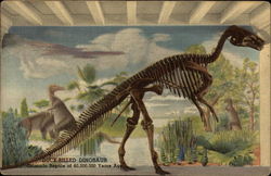 Duck-Billed Dinosaur - Colorado Reptile of 60,000,000 Years Ago Postcard