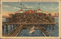 Crowded Stands Witness Horse Dive - Steel Pier Atlantic City, NJ Postcard Postcard