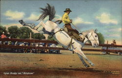 Lynn Husky on "Airplane" Rodeos Postcard Postcard