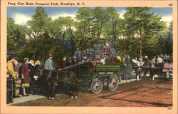 Pony Cart Ride, Prospect Park Brooklyn, NY Postcard Postcard