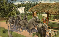 Clyde Beatty's Jungle Zoo and Circus Fort Lauderdale, FL Postcard Postcard