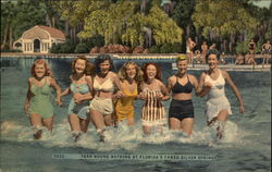 Year Round Bathing at Florida's Famed Silver Springs Postcard Postcard