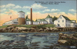 Fish Hatchery and Lobster Rearing Station Postcard