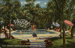 Beautiful Dubsdread Country Club Swimming Pool Orlando, FL Postcard Postcard