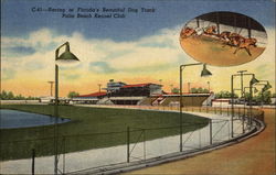 Racing at Florida's Beautiful Dog Track - Palm Beach Kennel Club Postcard Postcard