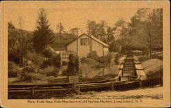 New York State Fish Hatchery Cold Spring Harbor, NY Postcard Postcard