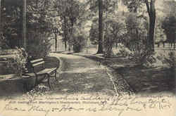 Path Leading From Washington's Headquarters Postcard