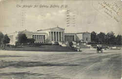 The Albright Art Gallery Buffalo, NY Postcard Postcard