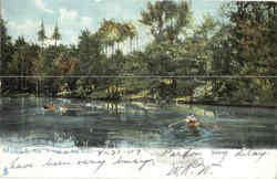 A View On Dog River Mobile, AL Postcard Postcard