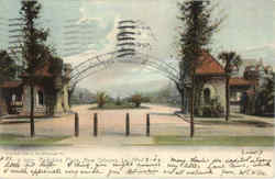 Audubon Place Postcard