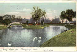 The Lake In Metairie Cemetery Postcard