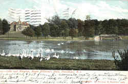 Lake And Museum, Roger William's Park Postcard