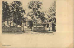 Laurel Grove Postcard