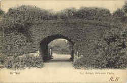 Ivy Bridge, Delaware Park Buffalo, NY Postcard Postcard