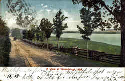 A View Of Canandaraga Lake New York Postcard Postcard