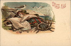 Gruss Aus - Gulls, Fish and Crab Postcard