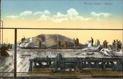 Whaling Station Durban, South Africa Postcard Postcard