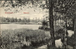 Siberia Russia Postcard Postcard