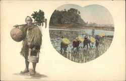 Rice Farming / Planting Postcard Postcard