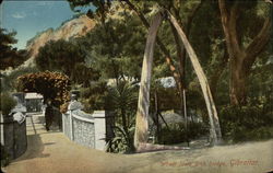 Whale Jaws Arch Bridge Postcard