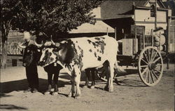 Ox-Drawn Cart Postcard