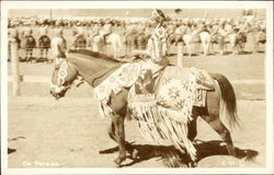 "On Parade" - Native American Woman on Horseback Postcard