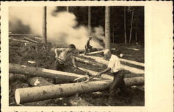 Logging Postcard