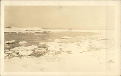 Ice Floes Postcard