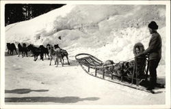 Man & Woman Riding Dog Sled in the Snow Postcard Postcard