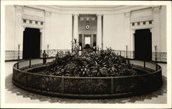 The John G. Shedd Aquarium, Grant Park Postcard