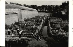 A Farm inside High Walls Farming Postcard Postcard