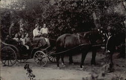 Horses and Buggy with People Postcard Postcard