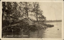 Beaver House Postcard