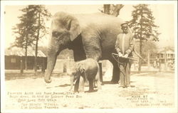 Liberty Park Zoo - Elephants Princess Alice and Baby Prince Utah Salt Lake City, UT Postcard Postcard