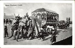 Elephant Coach Postcard