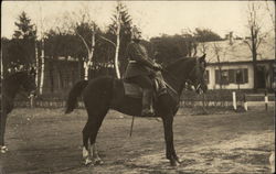 German Military Officer on Horse Postcard