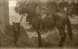 Man standing in Barnyard with Saddled Horse Horses Postcard Postcard