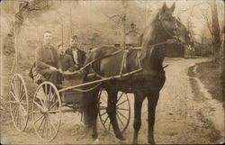 Three Riders in a Horse Drawn Cart Horses Postcard Postcard