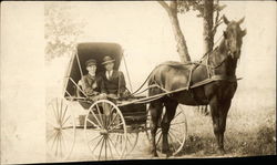 Horse and Cart Horses Postcard Postcard