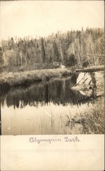 Scenic view of Algonquin Park Postcard